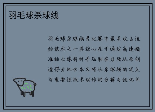 羽毛球杀球线